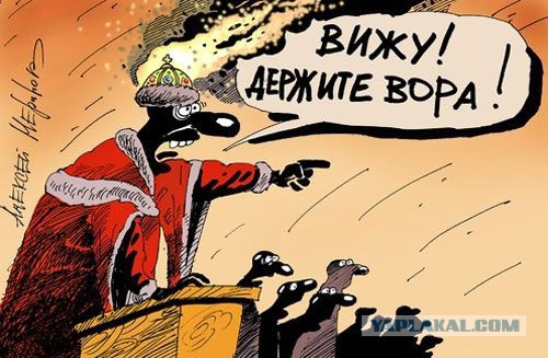 Отказалась употреблять рвоту пчел