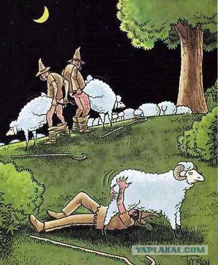 Лучше выпить водки литр, чем лизать... хотя подождите, не все так однозначно!