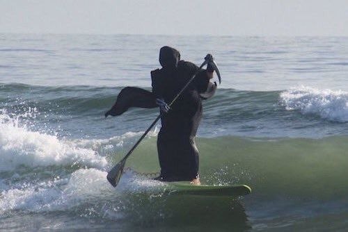 Подборка безудержного веселья