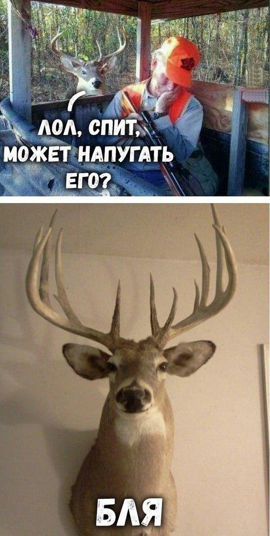 Приколы в стиле "регресс"