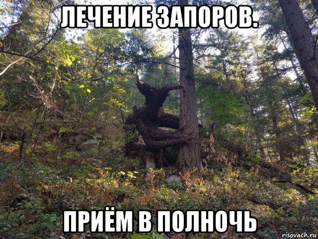 Подборка интересных и веселых картинок