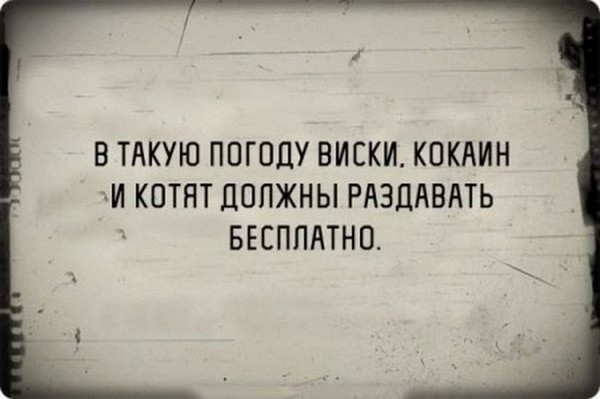 Забавные шутки, фразы и комментарии из этих ваших интернетов