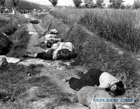 Побег солдата КНДР в Южную Корею