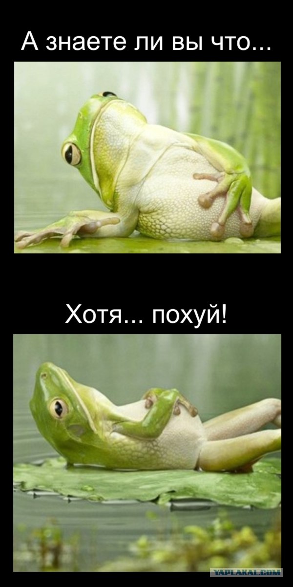 14 фактов о лени