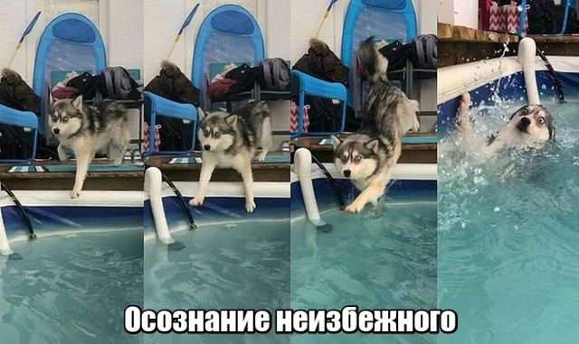 Нестандартный юмор