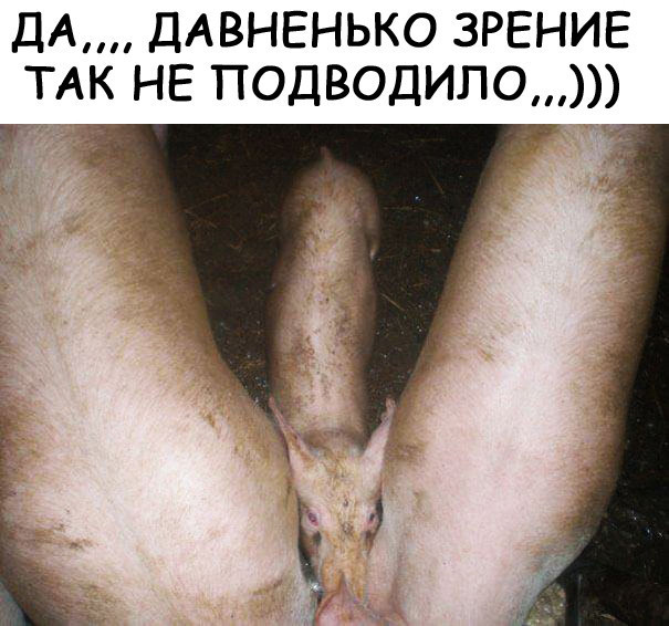 Оказалось, показалось