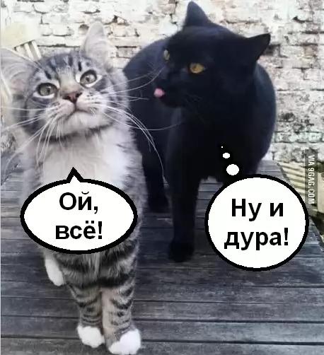 Перепись полигамных самцов на ЯПе