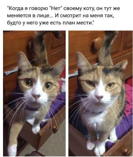 Побаяним? Картинки