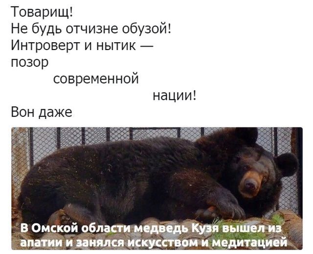 Нестандартный юмор