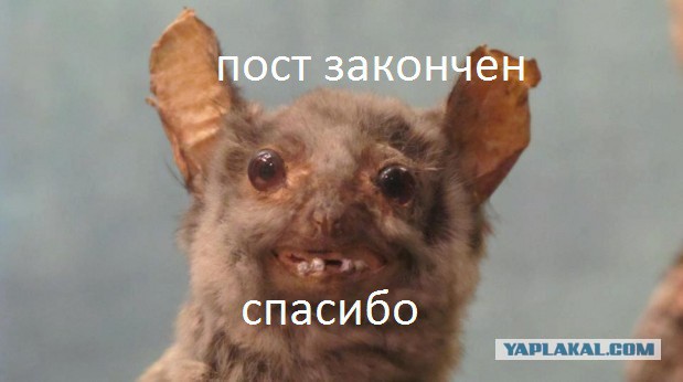 Немного картинок на среду