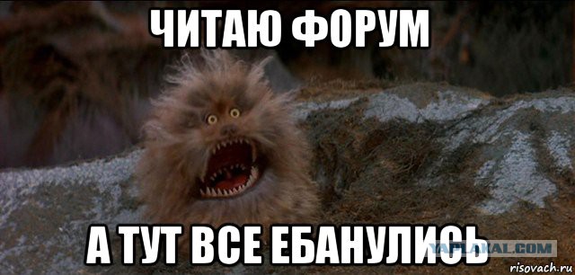 Ненавижу кота