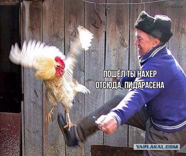 Поисковый Магнит. Москва Река. Сдал в полицию криминальную находку
