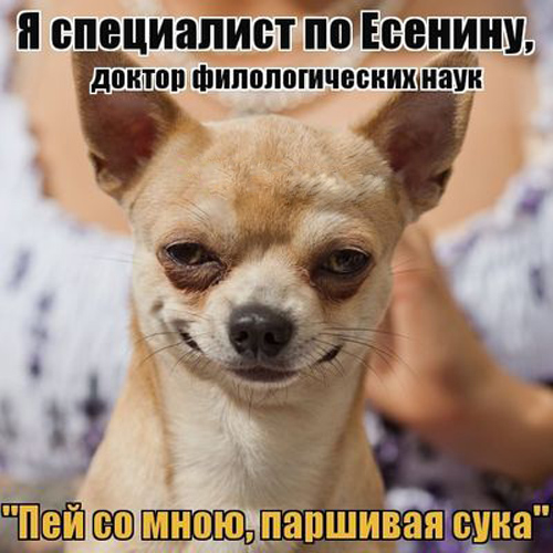 Я тоже хочу попробЫвать с картинками