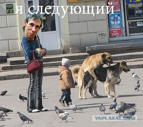 Алексей Панин попал в аварию в центре Москвы