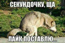 Ветеринар делится фото из голых походов, чтобы избавиться от комплексов и заставить бывших ревновать