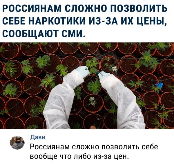 Анекдоты, соц-сети и картинки с надписями