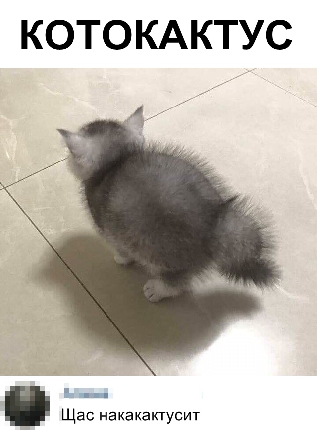 Нестандартный юмор