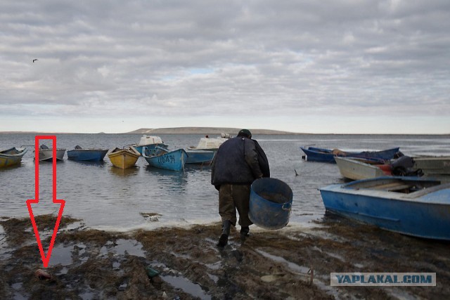 Здесь было море: жизнь на берегах высохшего Арала