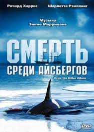 Видео из Дудинки: семья на моторной лодке наткнулась на семью косаток. Прямо в Енисее