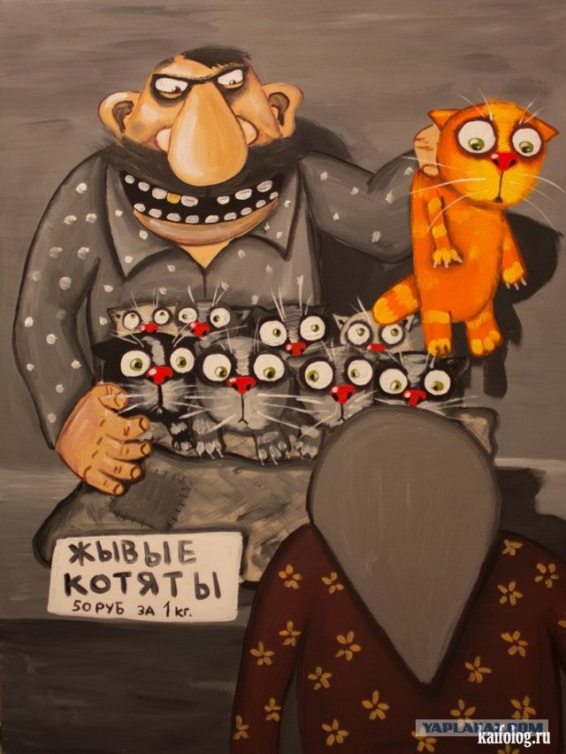 Во имя великого котовторника!