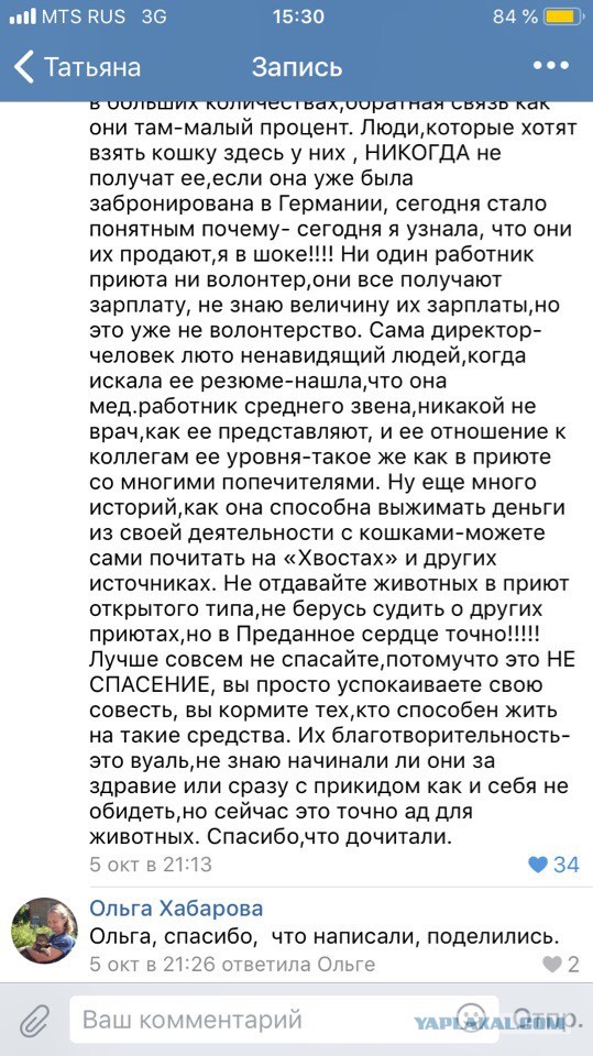 Помогите вернуть кота! Приют "Преданное сердце" украл кота и не отдает!