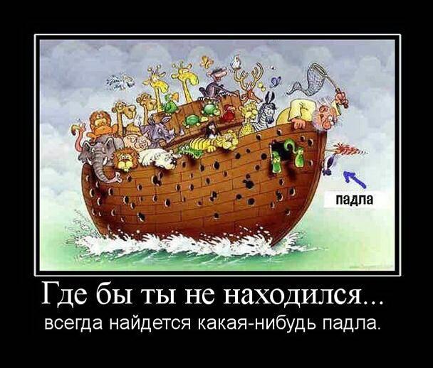 «Иллюзия Моисея» демонстрирует, насколько мы невнимательны к фактам