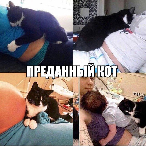 Немного картинок для настроения 18.01.20
