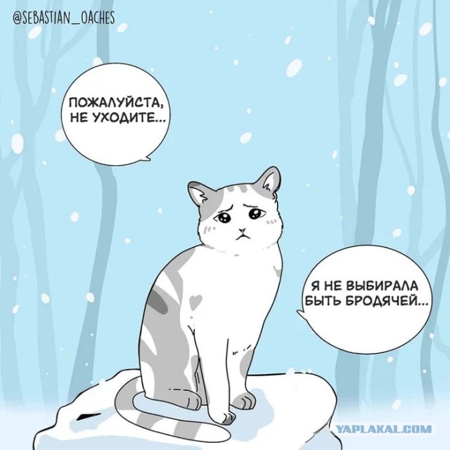 Пожалуйста, не бросайте животных