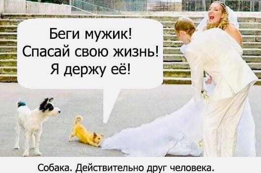 Чуток картинок 14.04.20