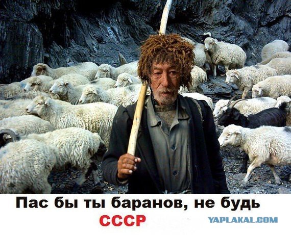 Немного картинок для настроения 222