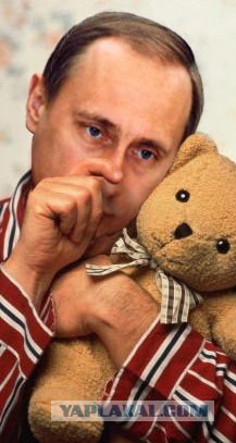 Фотожаба: "Вход в магазин с собаками воспрещён!"