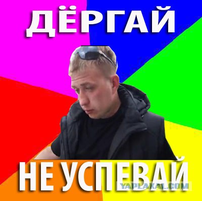 Упоротый дебил