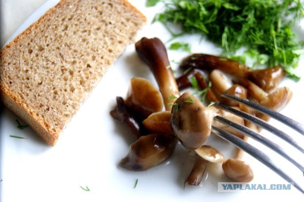 Осень в банках