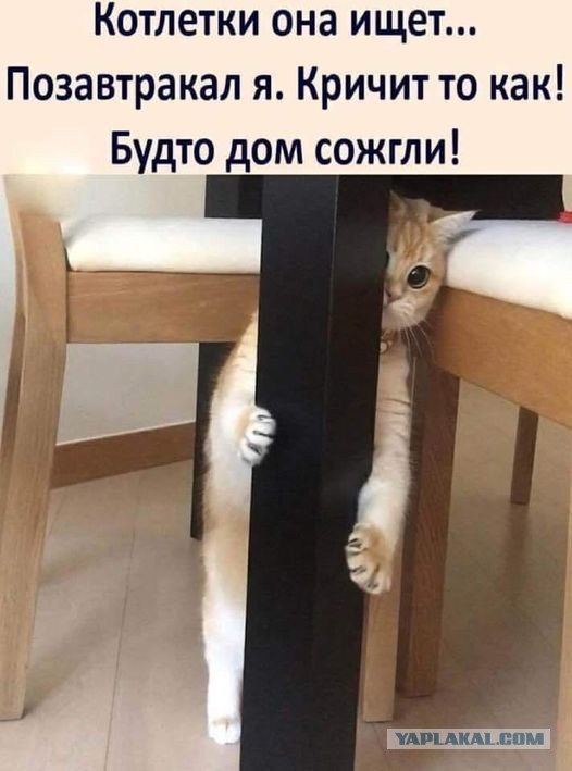 Портал узковат. Надо расширить