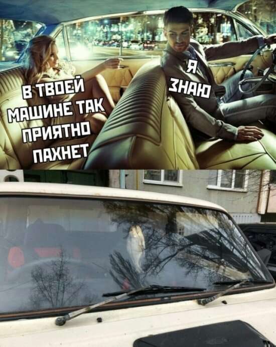 Немного картинок для настроения - 117