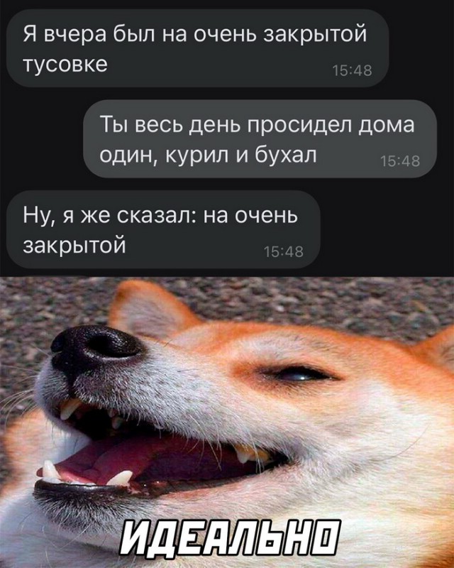 Картинки и мемы, всем хороших выходных