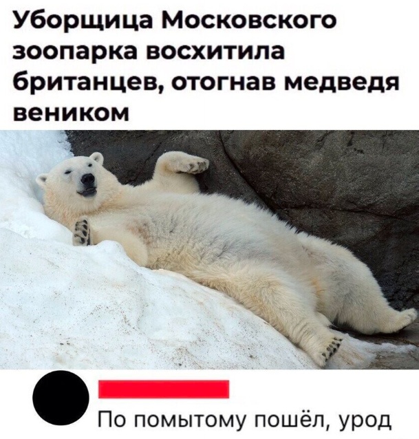 Так себе картинки 16.06.23