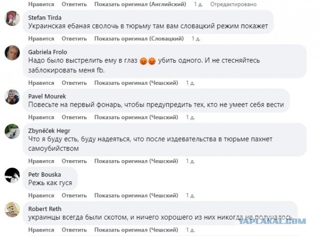 В Чехии 18-летний украинец изнасиловал и хотел убить 15-летнюю девушку