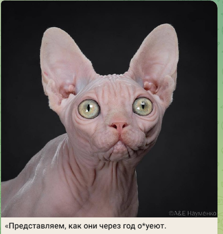 Химия и жизнь