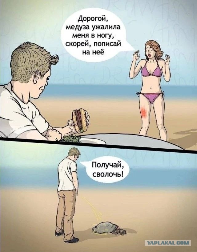 Мужчина подумал что взять эту медузу в руки было хорошей идеей