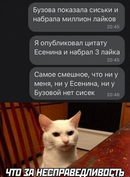 Весёлый полтишок 08.04.24