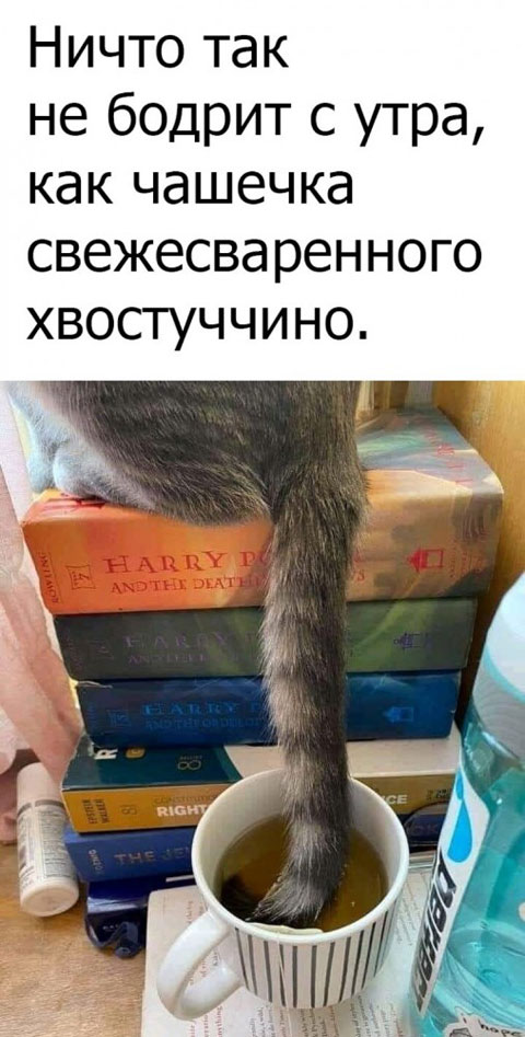 Среда, как рифма к пятнице