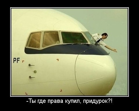 Отборные баяны 10-летней выдержки - SCIENCE 2.0 edition
