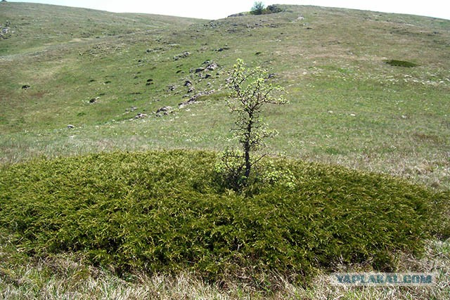 Через горы к морю!