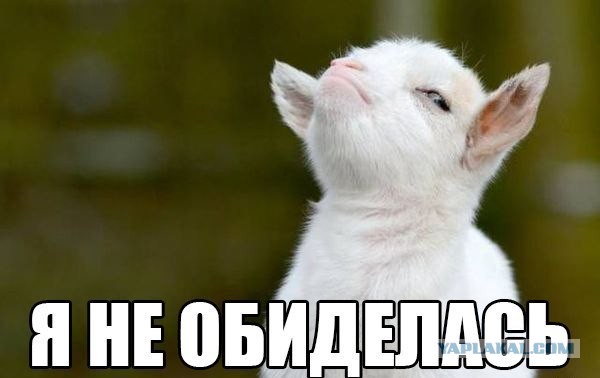 Автобус снёс остановку с людьми в Санкт-Петербурге