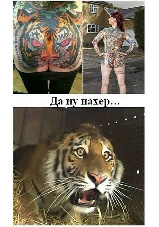 Завалялось тут случайно немного забавных картинок