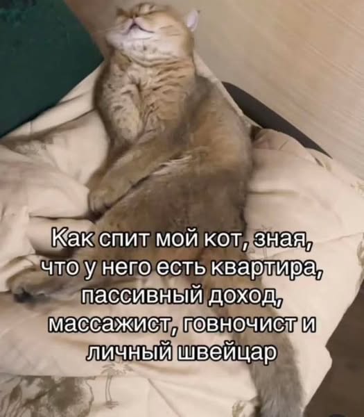 Картинки разные с надписями и без