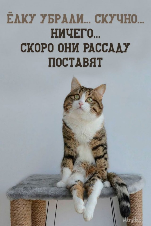 Наивные, они думали, что это меня остановит