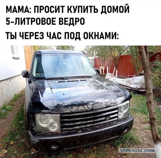 Картинки для деградации 51 (разной степени свежести)