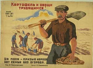 Про картошку